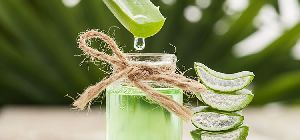 aloe vera juice extract