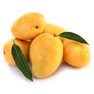 Fresh Valsadi Mango