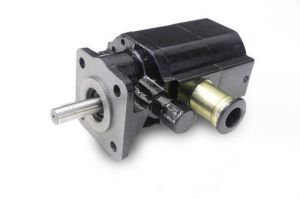 Cast Iron Hydraulic Pump