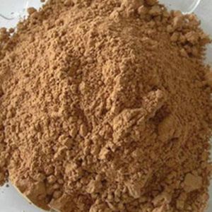 Papaya Fruit Extract Powder