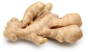 Fresh Natural Ginger