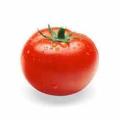 Fresh Raw Tomato