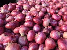 Fresh Natural Onion