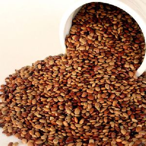 horse gram dal