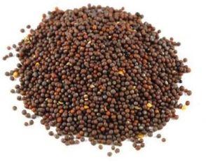 Brown Mustard Seeds