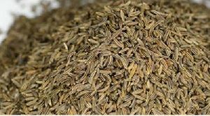 Dried Cumin Seeds