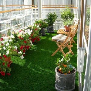 Balcony Gardening Service