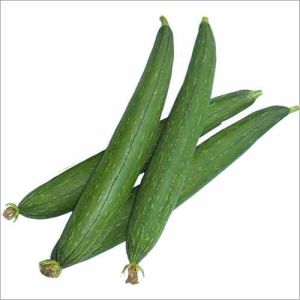 Fresh Sponge Gourd