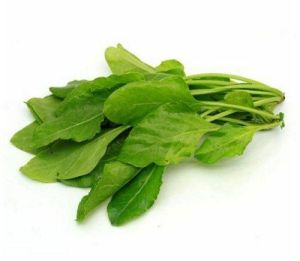 Fresh Spinach