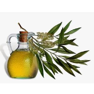 Tea Tree Oil