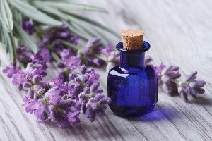 Lavender Oil