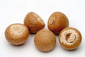 Betel Nuts