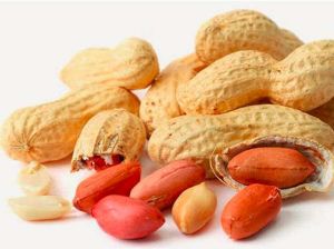 Shelled Groundnuts