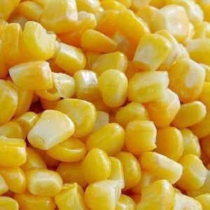 Frozen Corn