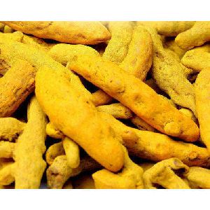 dry turmeric fingers