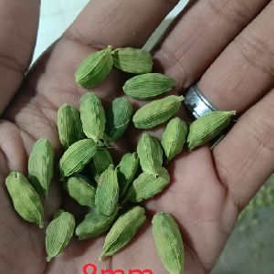 Green Cardamom