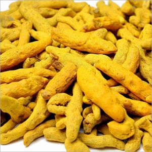 Double Polished Turmeric Finger