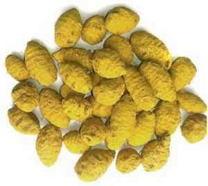 Dried Turmeric Bulb