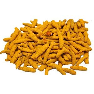 Organic Turmeric Finger