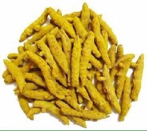 Premium Quality Turmeric Finger