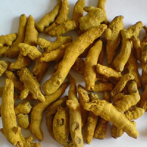 Single Polished Turmeric Finger