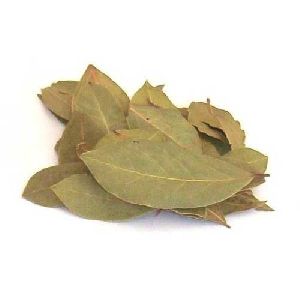 Bay Leaf