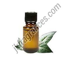 Herbal Amla Fragrance