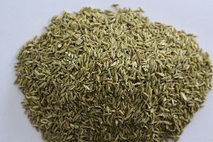 Fennel Seeds