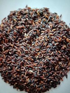 Black Rice