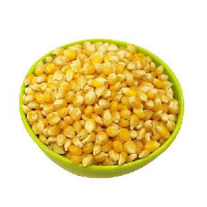 Yellow Corn Seeds