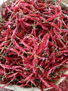 Dried Red Chilli