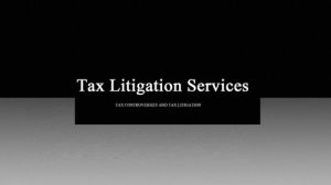 Tax Litigation Services