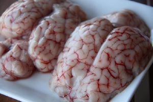 Goat Brain