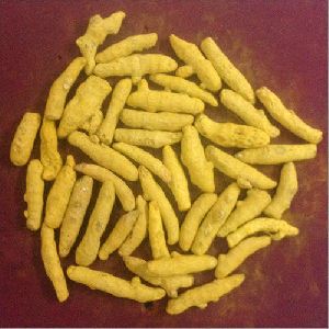 dried turmeric finger