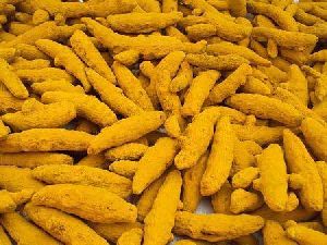 Organic Turmeric Finger