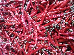 Raw Dried Red Chilli