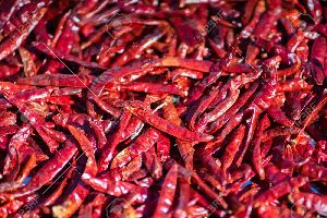 Teja Dried Red Chilli