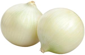 Fresh White Onion