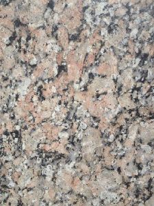 Panchalwara Indian Granite