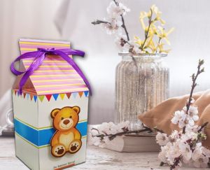 Teddy Container 3D Chocolate Boxes