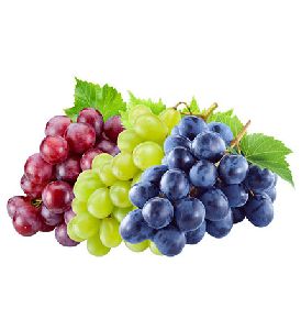 Fresh Grapes