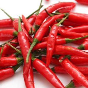 Fresh Red Chilli