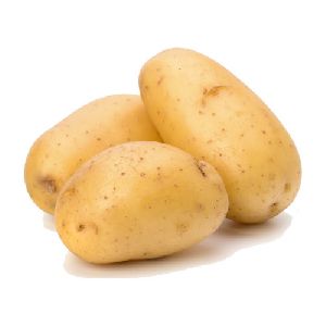 Fresh Potato