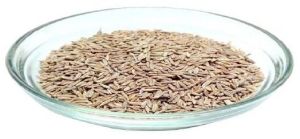 Cumin Seeds