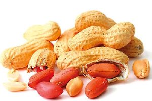 Graded Groundnuts