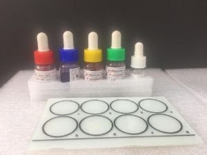 Widal Test Kit