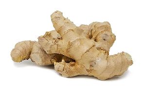 Fresh Ginger