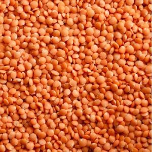 Red Lentils