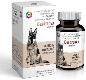 bone joint dog supplement