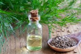 Dill Seed Oil